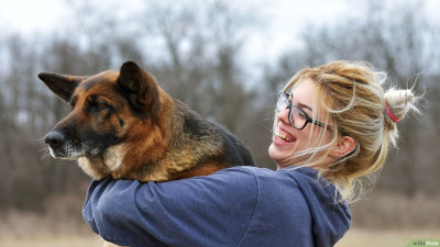 Köpeğim Beni Seviyor mu?